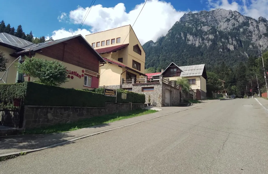 Pensiunea Sebastian-1